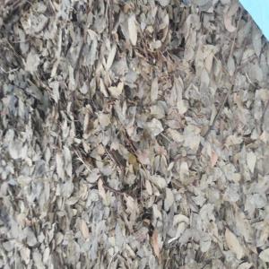  Feuille De Laurier 0,45 Euro Par Kg - aromatic spices feuille de laurier moulu ,  0.45 euro/kg ( exw turkey ). nous pouvons expédier au sol ou en feuilles. ce sont des parties restantes des feuilles de laurier,  après que nous ayons traité dans la machine de distillation à la vapeur d'eau pour dériver des huiles essenti