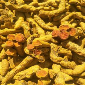  Curcuma Séché - épices aromates curcuma de doigt seche au vietnam--nous fournissons en vrac,  --14 tons/20 pieds ou 25 tons/40 ft pieds