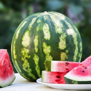  200 Tonne De Pastèques Partir Du 15 Juillet - fruits et légumes bonjour,  nous vendons une recolte de pasteque de plus de 200 tonne,  départ tunisie vers ,  pour ceux qui sont interesser merci de nous contacter pour plus de details.