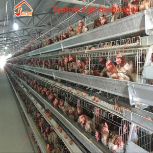  Recherche De Financement D'un Projet Avicole - Investissement capitaux nous &eacute;levons des poules pondeuses en guin&eacute;e.  dans le cadre de l'am&eacute;lioration de notre elevage,  nous avons d&eacute;cid&eacute; de monter un projet d'elevage avicole moderne en batterie pret a etre financ&eacute; 