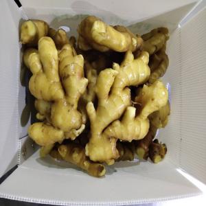  Gingembre Bio Du Cameroun - fruits et légumes nous sommes une compagnie camerounaise qui fait dans l'exportation des fruits et légumes. nous recherchons des partenaires qui veulent le gingembre,  onions,  bananes,  pommes de terre irish. 