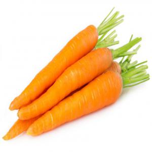  Carottes Emballé Sous Vide De Maroc - fruits et légumes carottes fraiche emballé sous vide.--origine de maroc .--pour l'export.--tous les calibres.--cordialement.--
