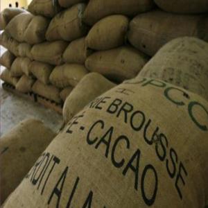  Cacao Recherche De Partenaire Fiable - café cacao thé bonjour chers je suis pca d'une coopérative agricole  en côte d'ivoire nous encadrons plus de 1700 planteurs et nous recherchons une partenaire fiable pour la campagne prochaine pouvoir bien mener notre activiter pour ameliorer la condition de vie de notre planteurs parce que nous somme