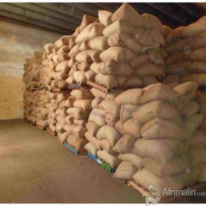  Sesame, Noix De Cajou, Noix De Karité, - fruits secs et graines grillées nous chercons des clients pour l'exportation des produits tropicaux sesame,  noix de cajou,  noix de karité,  amande de cajou,  arachide etc... nous avons plusieurs années d'expérience dans les differents domaines,  nous proposons des prix compétitifs sur le marché loca