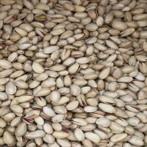  Pistaches Coque Origine Iran - fruits secs et graines grillées bonjour, ----en tant qu'importateur direct de pistaches d'iran,  nous proposons les références suivantes ------ pistache akbari longue 26/28 naturelle  ---   - ouverture mécanique grillée salée et naturelle - sur demande----- pistache akbari longue 22/24 naturelle --