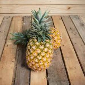  Ananas Cayenne Et Pain De Sucre D'origine Bénin - fruits et légumes bonjour je suis disponible &agrave; vous livrer de l'ananas cayenne ou pain de sucre peu importe la destination avec un prix tr&egrave;s comp&eacute;titif.--merci de me contacter