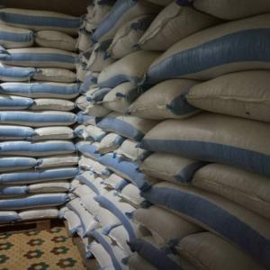  Soja Conditionné Prêt Pour L'exportation - semence graine plant bonjour chers tous, --disponible en vente au b&eacute;nin de soja van&eacute; pret pour l'exportation.--veuillez nous contacter pour les n&eacute;gociations.--cordialement