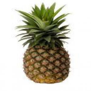  Ananas Bio Togo - fruits et légumes 35 tonnes d ananas bio  au minimum seront disponibles d ici juin-juillet 2021--