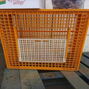 Caisse à poulet - matériels machines des caisses pouvant contenir 25 à 50 poulets sont disponible pour la commercialisation et le transport des volailles. caisse toute neuve avec un système de montage manuel.