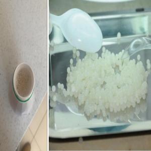  Snail Mucus-snail Caviar-escargot-snail-lumache - live animals we offer snail mucus in various types,  as liquid,  frozen,  pownder. snail caviar in excellent quality. alive snails in big quantities