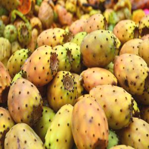  Pricly Paer Seed Oil Organic) -  advertising new products we are producers of organic prickly pear seed oil in the southern region of morocco known for the quality of its fig.--thanks to its strong antioxidant power,  it reduces the effects of aging and acts as a barrier against premature aging of the epidermis. rich in sterol and vitamin e,  prickly pear oi