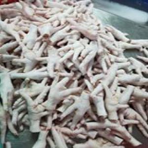  Chicken Feet And Paw Grade - live animals food processor with a portfolio that includes established brands in brazil and abroad,  such as sadia,  perdigao,  qualy,  chester,  perdix,  and paty. the company provides meat (poultry and pork),  foods processed of meats,  pizzas,  pastas,  and frozen vegetables business segments.--product detail--product 