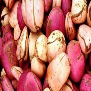  Ventre En Gros Noix De Cola - autres bonsoir à  tous. j'exerce dans le domaine de la vente--la noix de cola ivoirien de bonne qualité .je peux vous fournir en grande quantité. --5000 fr le kilo--