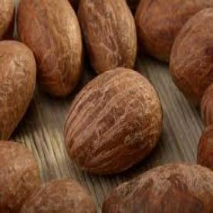  Disponibilé Du Petit Cola - matiere vegetale bonjour chers colaborateurs je dispose du petit cola depuis la cote d'ivoire --veuillez me contactez 