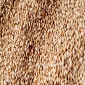  Sesame Bigarré Disponible - céréales bonjour mr./ mme., --nous avons disponible au burkina faso du sesame bigarr&eacute;. dans la zone de ouagadougou. contactez nous pour vos demandes. merci 