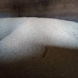  Maïs Disponible - céréales bonjour mr./ mme., --nous avons une quantité importante de maïs jaune et blanc sec disponible au burkina faso. pour tous vos commandes contactez nous directement merci. 