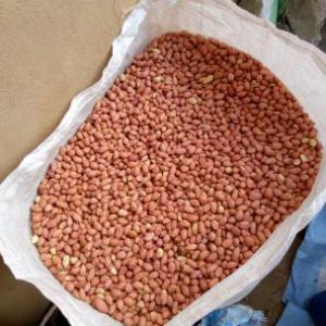  Cacahuètes Sénégalais Et Noix De Coco - fruits secs et graines grillées cacahuètes sénégalais de bonne qualité variété 73.--noix de coco pelée et non pelée selon le choix.  