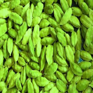 High Grade Green Cardamom For Sale -  advertising new products specification for green cardamom--size-6mm 7mm 8mm 9mm--moisture - 12% max--bulbs- 2 %--length- 3 cm and above (less than 15mm   3% max--)unboiled or less boiled- 0.3 % max--free from infestation,  fungus & dyes and coloring chemicals--packing & weight- 1kg, 5kg, 10kg, 25 kg , 50kgs net in new pp bags or