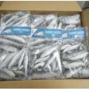  Produits Pour Conserveries De Poissons Maroc - poissons nous somme une societe qui peut fournir des conserveries de poissons ou societe ou grosite . de sardines  divers ..exemple sardines  hgt congelee en iqf pour conserveries ou autres prix maroc1.02 euro kg ..  sardines entiere congelee en iqf sachets de un kg ou plus sur le sachet ont peut mettre la m