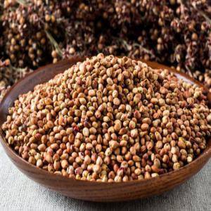  Sorgho Disponible - céréales bonjour m./mme, --nous avons disponible au burkina faso du sorgho en quantit&eacute;. pour tous vos commandes contactez nous directement. merci 