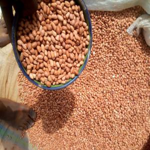  Arachide, Peanuts - fruits secs et graines grillées bonjour mr/mme., --nous avons une quantité importante d'arachide d'origine niger. pour tous vos besoins merci de me contactez directement.