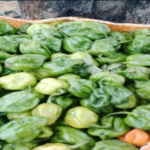  Vend Bissap Rouge, Bouye, Céréales Locales - jus concentré sirop nous sommes un groupement de femmes bas&eacute; au s&eacute;n&eacute;gal et op&eacute;rant dans le secteur agroalimentaire. nous proposons du bissap rouge et blanc en grande quantit&eacute;. conditionnement - sacs, 1300fcfa/kilo (2euros/kilo) / du bouye,  arraw,   thi&eacute;r&eacute;,  thiacry,  produit