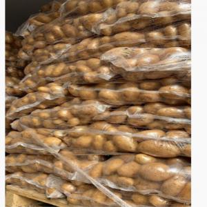  Vente D,oignons Et Pommes De Terre Calibre +50 - fruits et légumes nous sommes  une société  basée en espagne. --nous faisons de l'importation et exportation agroalimentaire. --actuellement nous disposons des tonnes de pommes de terre et oignons à prix cif destination.