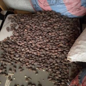  Vente Du Noix De Karité - matières grasses bonjour !--je suis un grossiste au bénin et je dispose déjà des stocks au magasin du noix de karité.--je cherche alors un partenaire pour en faire de partenariat de business avec possibilité de contrat.