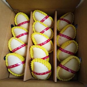  Fresh Mangoes Nam Dok Mai Quality From Thailand - fruits and vegetables we supply best fresh mangosteen,  durian,  pineapple,  and young coconut , all tropical fruits.--** country of origin - thailand.  --port of loading - --bangkok (shipped by air)--** production/delivery capability--10mt/month----** sales results--japan,  korea,  australia,  uae,  us,  china and others