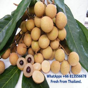  Fresh&dried Longan, Longan In Canned Thailand - fruits and vegetables --10000 pack/packs per week--packaging & delivery--packaging details--packing & material- plastic basket with cover --net weight- 10.5 kg/basket --gross weight- 11.5 kg/basket--port--bangkok,  thailand--lead time ---shipped in 7 days after payment--product description--perhaps no other tropical fruit