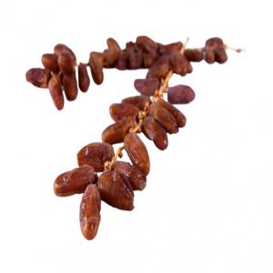  Deglet Nour And White Dates - fruits and vegetables  algerian dates is an algerian company,   which is in the south of algeria,  precisely in eloued. this region is known for its excellent quality of very good dates. our company specializing in date palms,  date seeds,  and date production,  in addition to packaging,  and exporting high quality from all ki