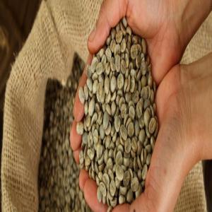  We Export Green Bean Coffee And Sugar From Brazil - coffee cocoa tea we export brazilian green bean coffee and sugar--sugar mqo 12.500mt--green bean coffee mqo 1 ctn 20' = 320 bags of 60kgs = 19, 6mtt