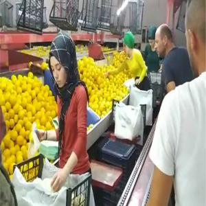  Export Citrons Jaune Et Vert Turquie - fruits et légumes nous recherchons partenaires pour import citrons,  oranges,  raisins,  grenades,  peches,  nectarines,  poires,  disponible suivant les récoltes.--actuellement récolte de citrons jaune prévu ---quantité disponible - 300 tonnes--catégorie - 2--diamètre - 60 / 65--ta