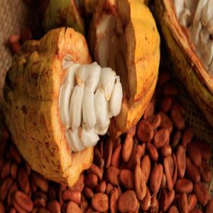  Vents Café, Cacao, Thé, Graines Et Semences - café cacao thé nous mettons a votre dispositions des produits provenants du cameroun telques---- le café--- le cacao--- le thé--- les graines ( sésame,  soja,  arachides,  maïs etc.)--- les poudres de baobab,  de cacao --- la farine de manioc.--et beaucoup de produits selon votre demande