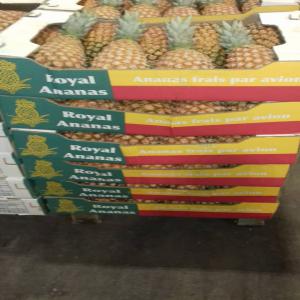  Vente Des Ananas Frais Pain De Sucre - fruits et légumes bonjour je suis à la recherche des clients pour vendre et fournir des ananas frais spécialement les pains de sucre de qualité; je fais une bonne qualité  ( maturité et coloration) , quantité  et régularite sous exigence de mes clients. je fais un bon p