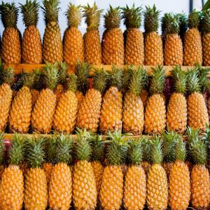  Ananas Frais - fruits et légumes merci pour l'enquete,  nous offrons la meilleure variété d'ananas frais md2 golden cultivée spécialement pour l'exportation afin de répondre aux exigences de nos clients. nous pouvons fournir des jouets avec des ananas frais avec les détails suivants---origin