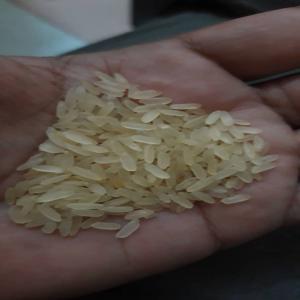  Riz Indien Parabolied Disponible - fruits secs et graines grillées riz indien long grain paraboiled 5% brisure,  un  très bon riz. -- disponible en sac de 50 kg en magasin à cotonou.-- possibilité de livrer partout dans le bénin ( calavi,  cotonou,  porto novo,  allada,  bohicon,  savalou,  klouekanmè,  azove,  lokossa,  parakou,  djougou et