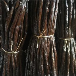  Vanilla Bean Bio From Madagascar 2020 - aromatic spices we export bio vanilla bean from madagascar all over the world---- black vanilla/ gourmet vanilla beans,  moisture content--between 28 and 35%,  vanillin content over 1.8--- tk vanilla,  over 16cm,  with a moisture content between 25 and 28%, --vanillin content over 1.7--- red vanilla,  over 16cm,  moisture