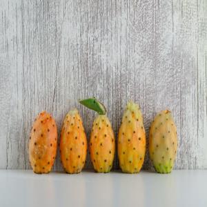 huile de pepins de figues  barbarie certifiée bio - huiles bonjour, --nous sommes une société tunisienne spécialisé en transformation de fruit de figue de barbarie issu d'une première pression a froid certifié biologique par ecocert.--nous vous proposons notre production en huile de graines de figue de barbarie fra&i