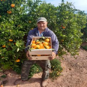  Clementines Clemrubi Oronules -1ª- Espagne - fruits et légumes producteur / exportateur clementines / oranges- catégorie 1 et 2 - origine espagne ( valencia ) pour export sur europe - tous coditionnements - envoie mini - palette / camion - --marque natura --