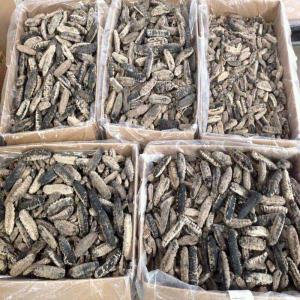  Concombre De Mer - autres je suis fournisseur de concombre de mer --je vend en kg a 100€ le kg --me contacter sur whatsapp