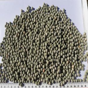  Offre De Petits Pois Secs - fruits et légumes offre petits pois secs--produit- petits pois secs--origine- argentine--packing- sacs de 20 kgs ,  24 tonnes conteneur 20' (1200 sacs )--prix- cfa 325 fcfa/ kg cif   tous port west africain--paiement- guarantie bancaire et contrat paiement une semaine apres livraison --délais de livraison- 6 se