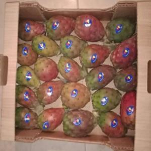  Cactus Berbère - fruits et légumes nous sommes une société tunisienne de commerce international et de negoce,  nous vendons d'huile d olive et figue de barbarie.