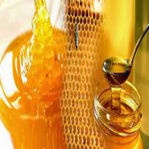  Honey *le Miel - huiles je suis producteur de miel de foret,  un miel fin et original. j'en ai une quantité importante. je vous promets une qualité adéquate et un prix abordable