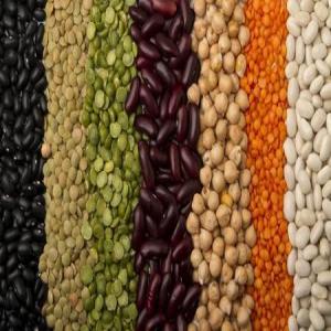  Variétés De Grains Secs De Madagascar - féculents selon vos besoins et vos demandes,  nous pouvons vous fournir diverses variétés de grains secs de madagascar ( tout venant ou triés).--nous disposons entre autres de---pois du cap,  haricot blanc,   haricot rouge,   coco rose,   mung beans,   et bien d 'autres...--le conditionnement p