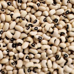  Haricots Blanc D'afrique - céréales nous disposons de l'haricots blanc ( niébé) --à vendre  pour client intéressé. ouverte pour toute sorte de partenariat 