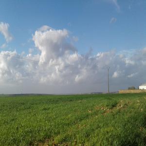 Terrain agricole bien positionné a vendre - mine terrain concession bonjour,  je mets en vente mon terrain agricole titré d'une superficie totale de 254000 m2. le terrain peuvent etre exploité sous plusieurs conditions suivant votre investissement- 1/ plantation oliviers et palmiers dattiers 2/ plantation médicinales; arbre énergéti