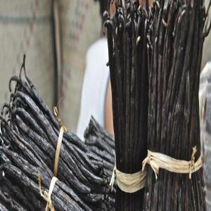  Gousse De Vanille - épices aromates vous allez acheter uniquement le meilleur de la récolte de la vanille de madagascar.--nos vanilles sont préparées et affinées en collaboration avec notre partenaire à madagascar.--découvrez nos gousses de vanille avec des saveurs exceptionnel et sa fameuses 