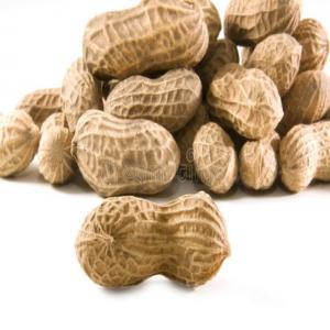  Arachides 2020/2021de Sénégal - fruits secs et graines grillées --société , a une grande quantité des arachides propres et d'une excellente qualité d afrique à des prix très intéressant.nous recherchons donc de clients sérieux ,  nous propose des d arachides décortiquée sur le territoire s&eacut