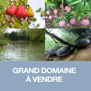  Exploitation Agricole De 110 Ha Avec Point D'eau - Industrie exploitation importante exploitation agro-sylvo-pastorale avec point d'eau empoissonné à vendre - il s’agit d’un terrain (une exploitation agro-sylvo-pastorale) de 110 hectares et poussière situé en bordure de la route nationale n°6 (route goudronnée) à environ 117 k